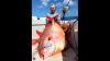 Man catches rare fish in Ft. Lauderdale for the first time since 2018